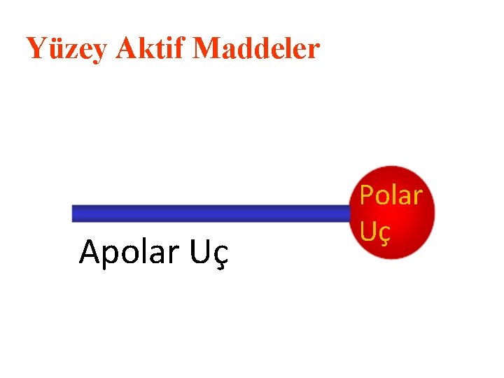 Yüzey Aktif Maddeler Apolar Uç Polar Uç 