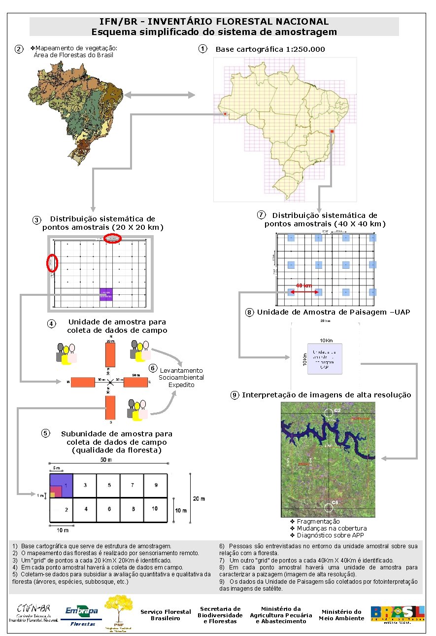 IFN/BR - INVENTÁRIO FLORESTAL NACIONAL Esquema simplificado do sistema de amostragem 2 Mapeamento de