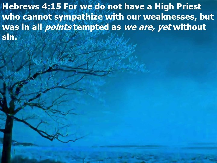 Hebrews 4: 15 For we do not have a High Priest who cannot sympathize