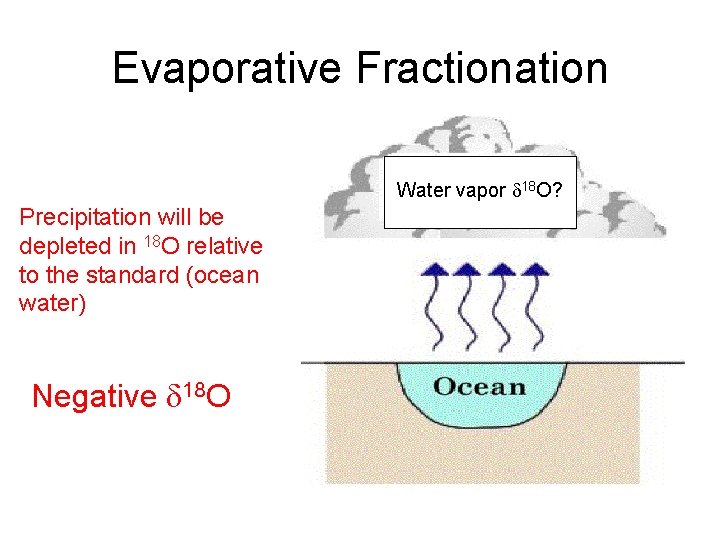 Evaporative Fractionation Water vapor d 18 O? Precipitation will be depleted in 18 O