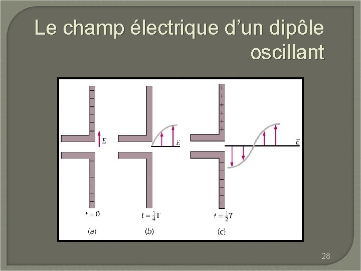 Le champ électrique d’un dipôle oscillant 28 