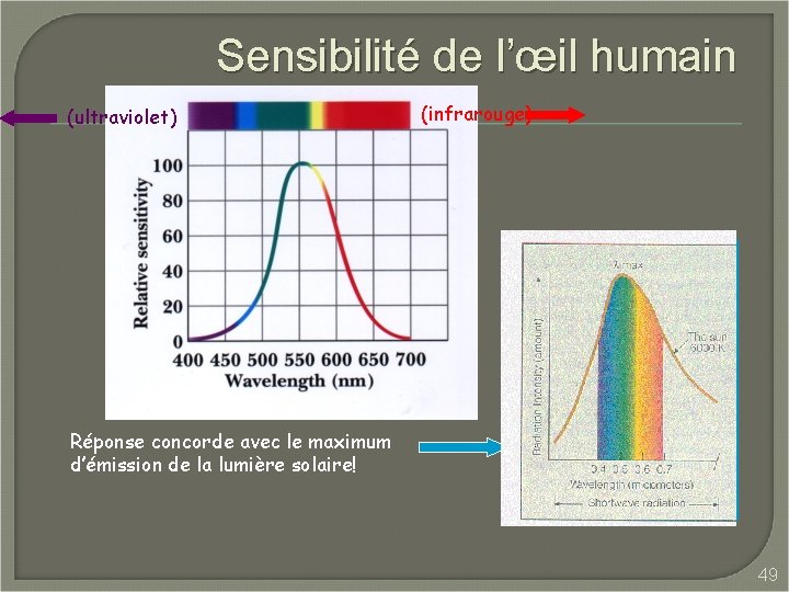 Sensibilité de l’œil humain (ultraviolet) (infrarouge) Réponse concorde avec le maximum d’émission de la