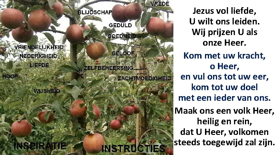 Jezus vol liefde, U wilt ons leiden. Wij prijzen U als onze Heer. Kom Jezus vol liefde, U wilt ons leiden. Wij prijzen U als onze Heer. Kom