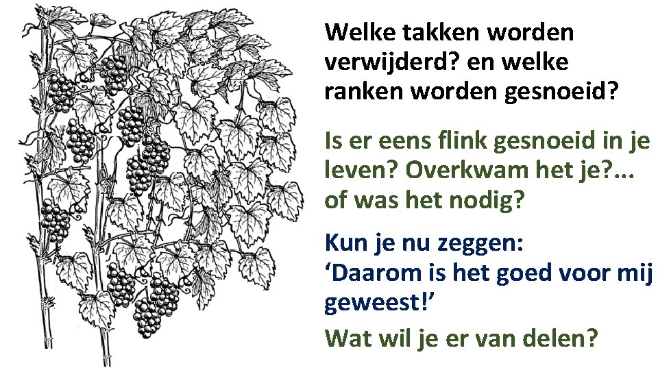 Welke takken worden verwijderd? en welke ranken worden gesnoeid? Is er eens flink gesnoeid