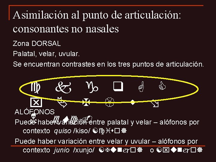 Asimilación al punto de articulación: consonantes no nasales Zona DORSAL Palatal, velar, uvular. Se