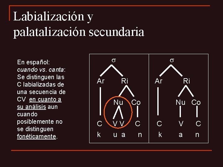 Labialización y palatalización secundaria En español: cuando vs. canta: Se distinguen las C labializadas