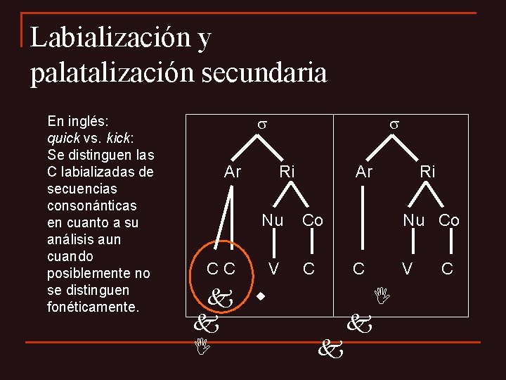 Labialización y palatalización secundaria En inglés: quick vs. kick: Se distinguen las C labializadas