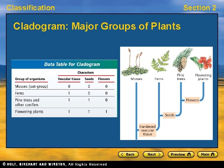 Classification Cladogram: Major Groups of Plants Section 2 