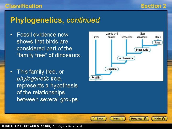 Classification Phylogenetics, continued • Fossil evidence now shows that birds are considered part of