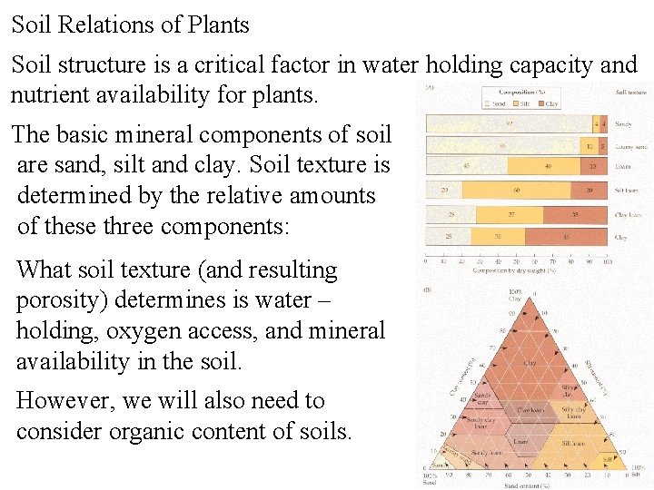 Soil Relations of Plants Soil structure is a critical factor in water holding capacity