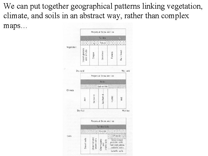 We can put together geographical patterns linking vegetation, climate, and soils in an abstract
