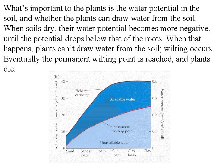 What’s important to the plants is the water potential in the soil, and whether