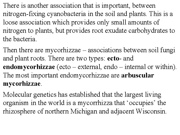 There is another association that is important, between nitrogen-fixing cyanobacteria in the soil and