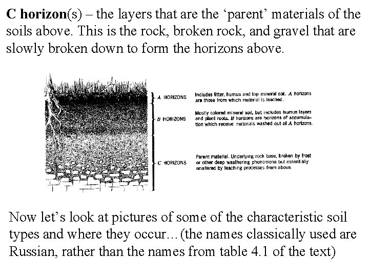 C horizon(s) – the layers that are the ‘parent’ materials of the soils above.