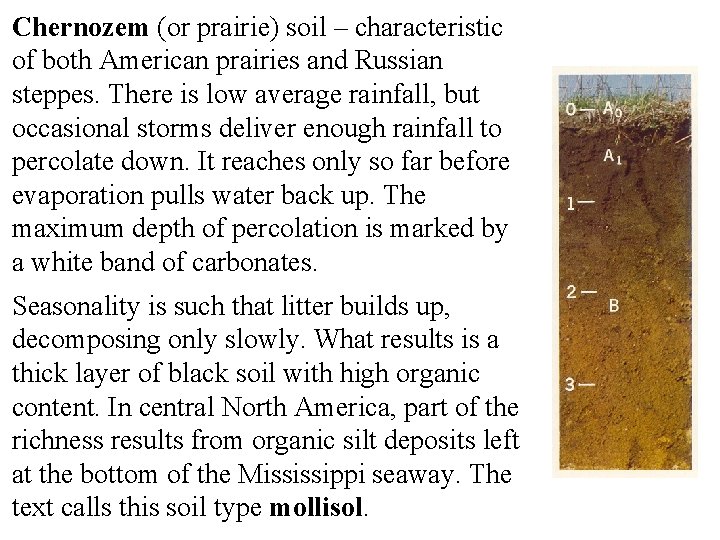 Chernozem (or prairie) soil – characteristic of both American prairies and Russian steppes. There