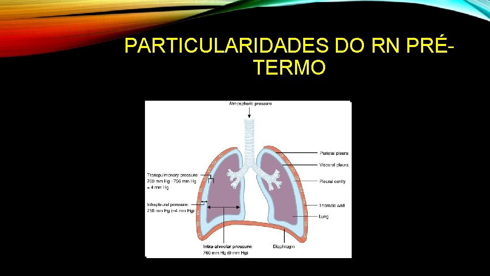 PARTICULARIDADES DO RN PRÉTERMO 