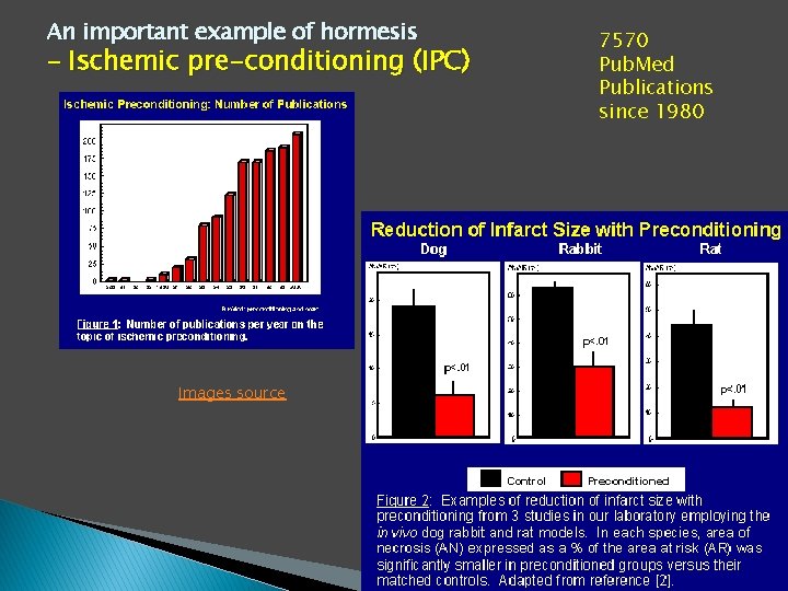 An important example of hormesis – Ischemic pre-conditioning (IPC) Images source 7570 Pub. Med