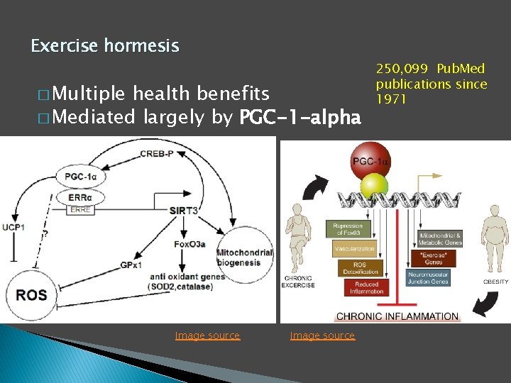 Exercise hormesis � Multiple health benefits � Mediated largely by PGC-1 -alpha Image source