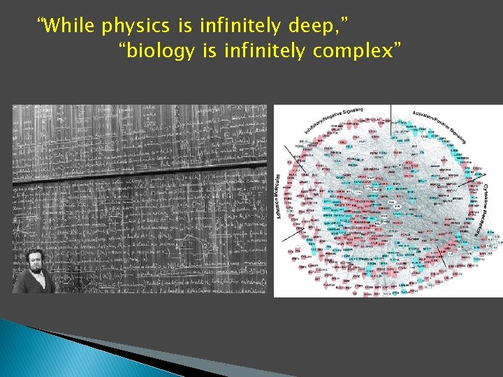 “While physics is infinitely deep, ” “biology is infinitely complex” 