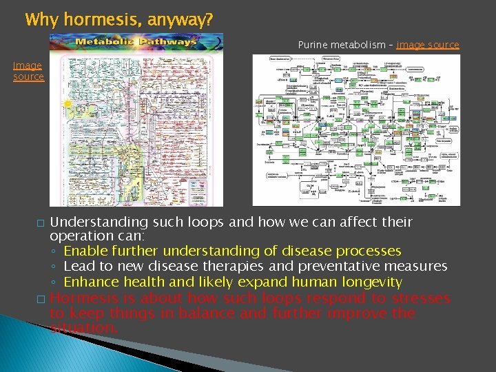 Why hormesis, anyway? Purine metabolism – image source Image source � � Understanding such