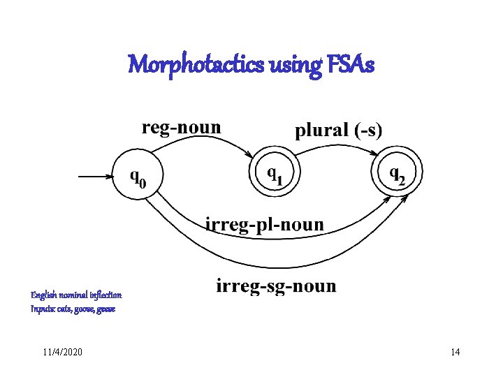 Morphotactics using FSAs English nominal inflection Inputs: cats, goose, geese 11/4/2020 14 