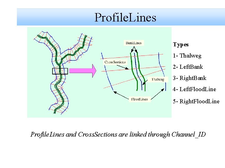 Profile. Lines Types 1 - Thalweg 2 - Left. Bank 3 - Right. Bank