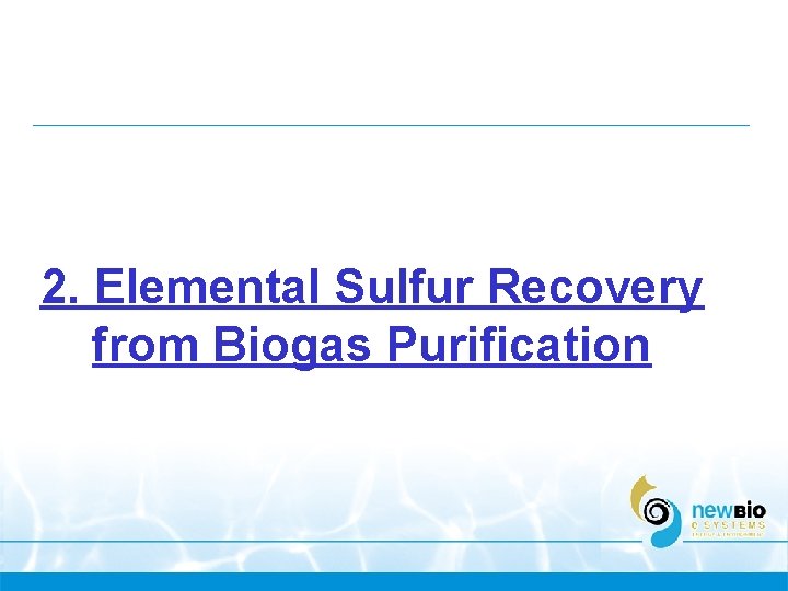 2. Elemental Sulfur Recovery from Biogas Purification 