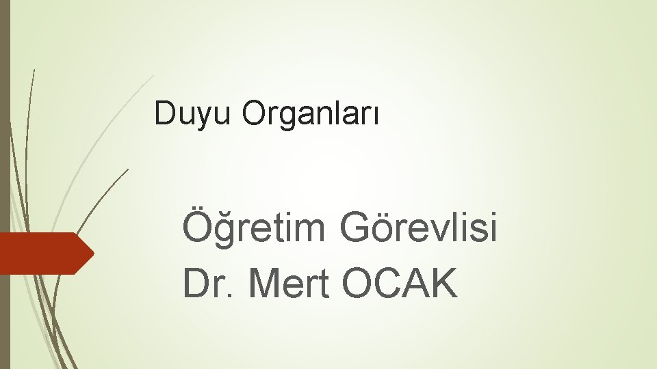 Duyu Organları Öğretim Görevlisi Dr. Mert OCAK 
