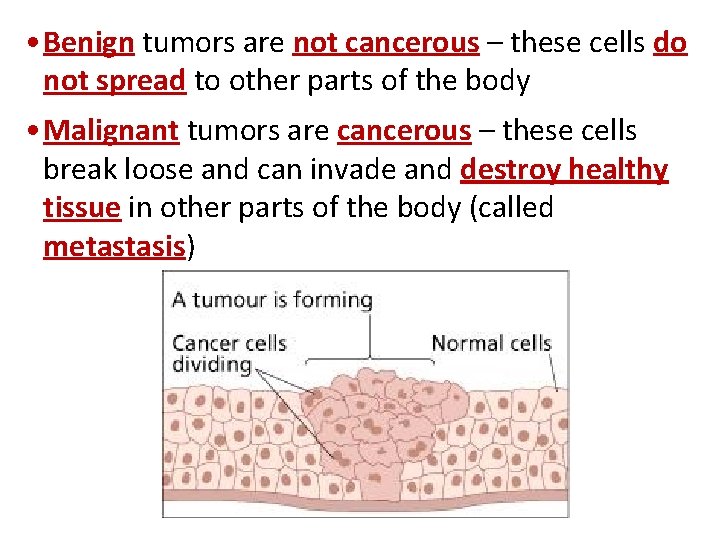  • Benign tumors are not cancerous – these cells do not spread to
