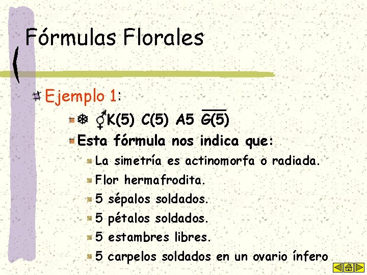 Fórmulas Florales Ejemplo 1: K(5) C(5) A 5 G(5) Esta fórmula nos indica que: