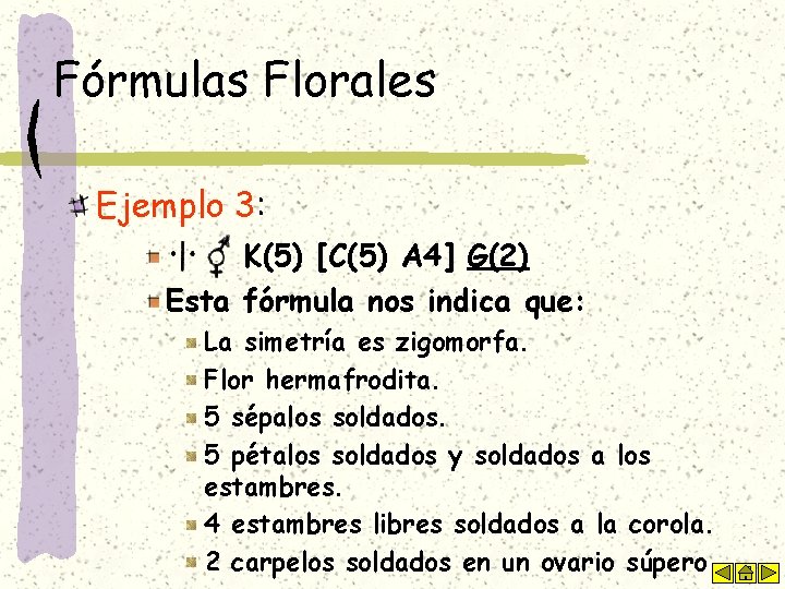 Fórmulas Florales Ejemplo 3: K(5) [C(5) A 4] G(2) Esta fórmula nos indica que: