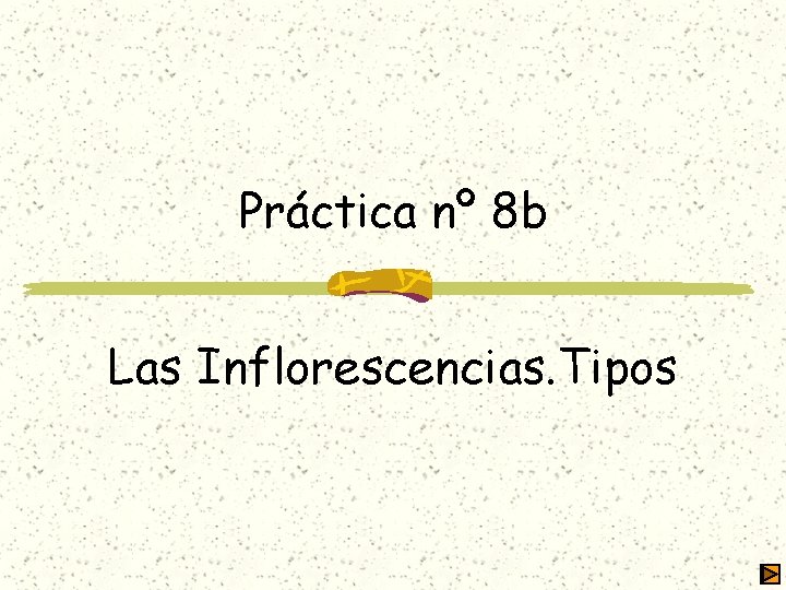 Práctica nº 8 b Las Inflorescencias. Tipos 