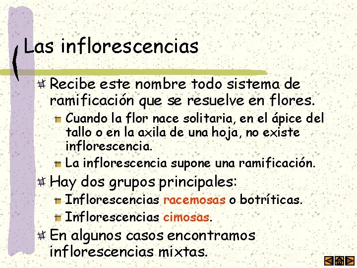 Las inflorescencias Recibe este nombre todo sistema de ramificación que se resuelve en flores.