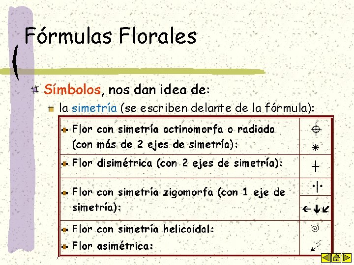 Fórmulas Florales Símbolos, nos dan idea de: la simetría (se escriben delante de la