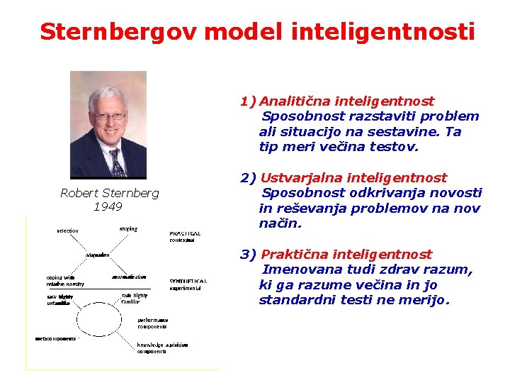 Sternbergov model inteligentnosti Robert Sternberg 1949 1) Analitična inteligentnost Sposobnost razstaviti problem ali situacijo