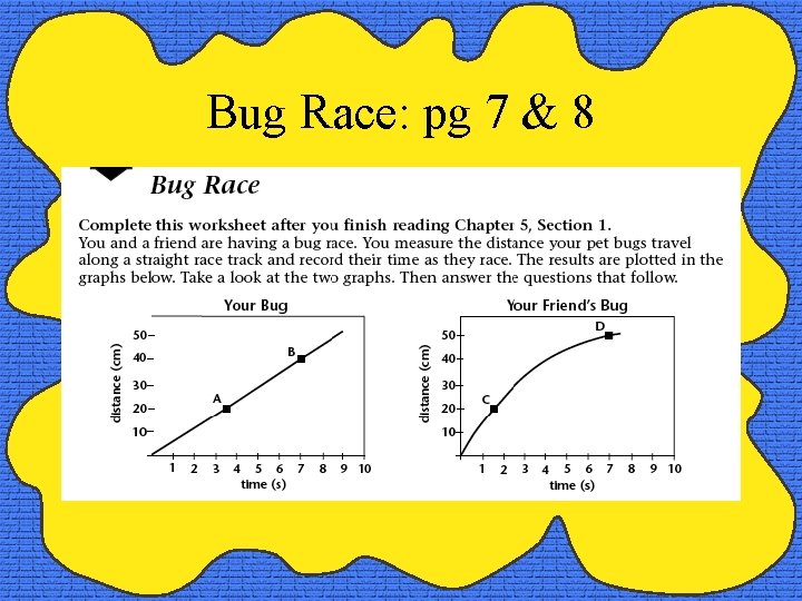 Bug Race: pg 7 & 8 