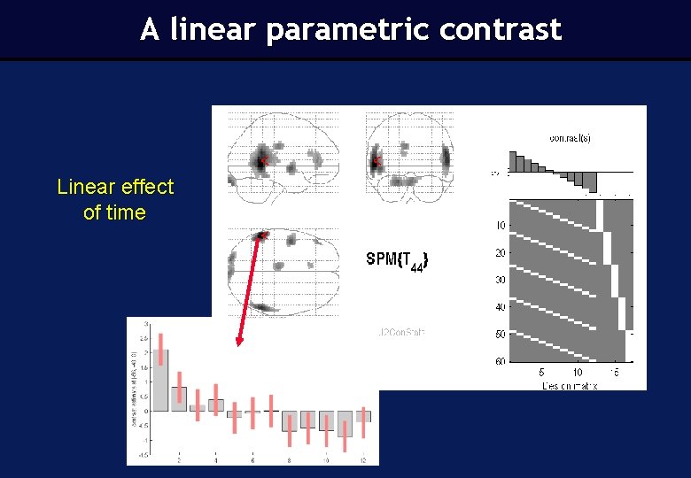 A linear parametric contrast Linear effect of time 