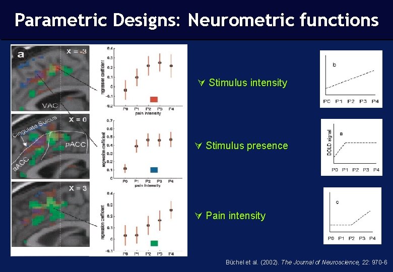 Parametric Designs: Neurometric functions Stimulus intensity Stimulus presence Pain intensity Büchel et al. (2002).