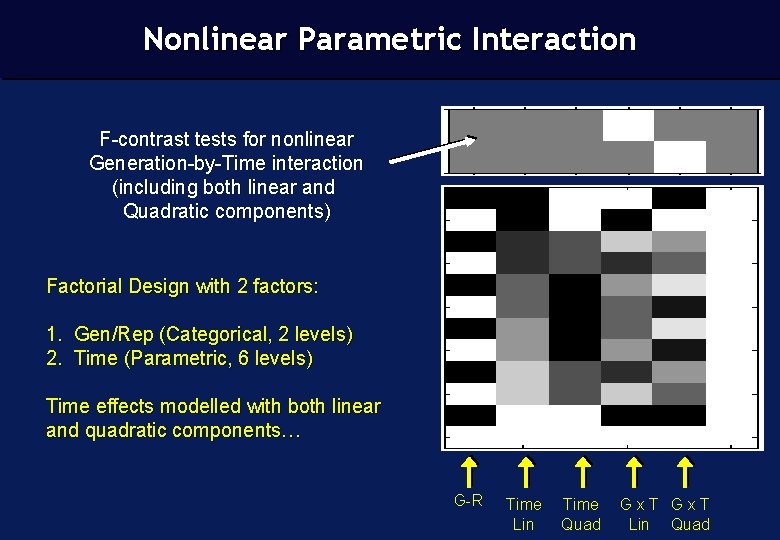 Nonlinear Parametric Interaction F-contrast tests for nonlinear Generation-by-Time interaction (including both linear and Quadratic