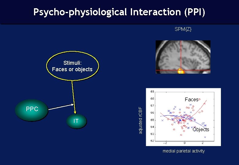 Psycho-physiological Interaction (PPI) SPM{Z} Stimuli: Faces or objects PPC IT adjusted r. CBF Faces