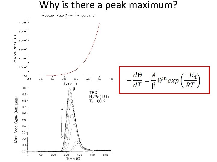 Why is there a peak maximum? 