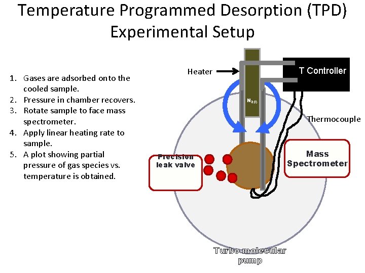 Temperature Programmed Desorption (TPD) Experimental Setup 1. Gases are adsorbed onto the cooled sample.