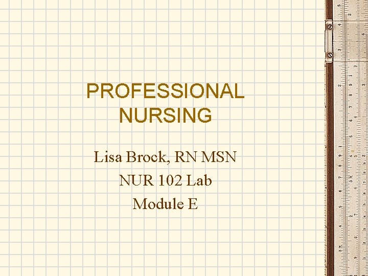 PROFESSIONAL NURSING Lisa Brock, RN MSN NUR 102 Lab Module E 