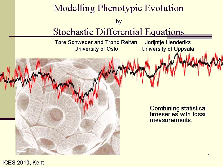 Modelling Phenotypic Evolution by Stochastic Differential Equations Tore Schweder and Trond Reitan Jorijntje Henderiks