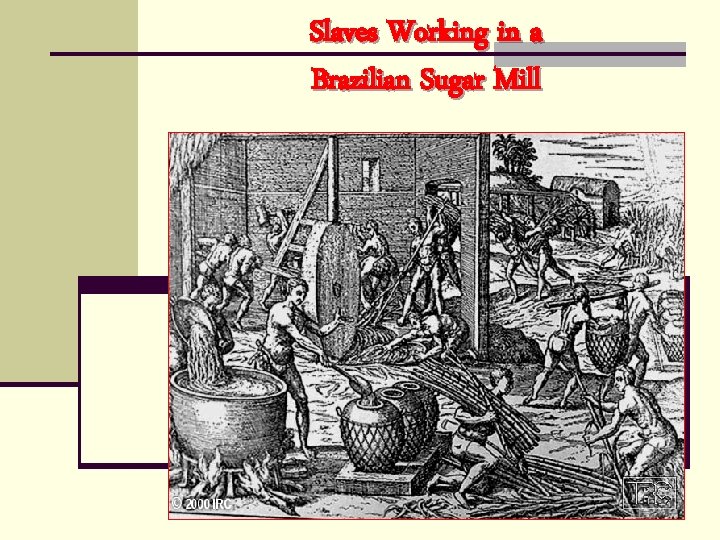 Slaves Working in a Brazilian Sugar Mill 