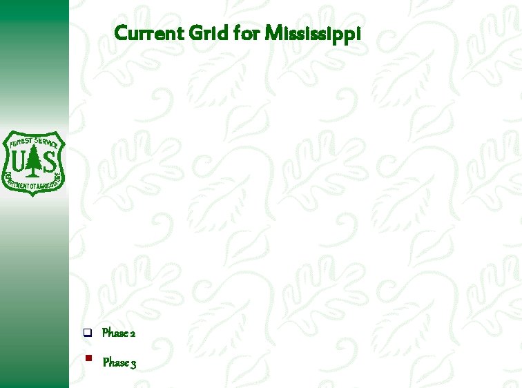 Current Grid for Mississippi q Phase 2 § Phase 3 Current Grid for Mississippi q Phase 2 § Phase 3