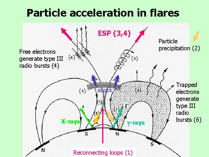 Particle acceleration in flares ESP (3, 4) Particle precipitation (2) Free electrons generate type