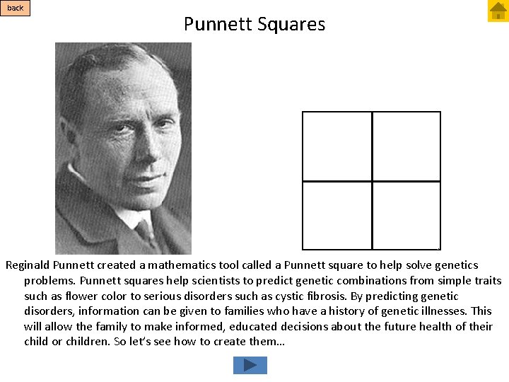 Genetics Tutorial Start from beginning Punnett Squares The