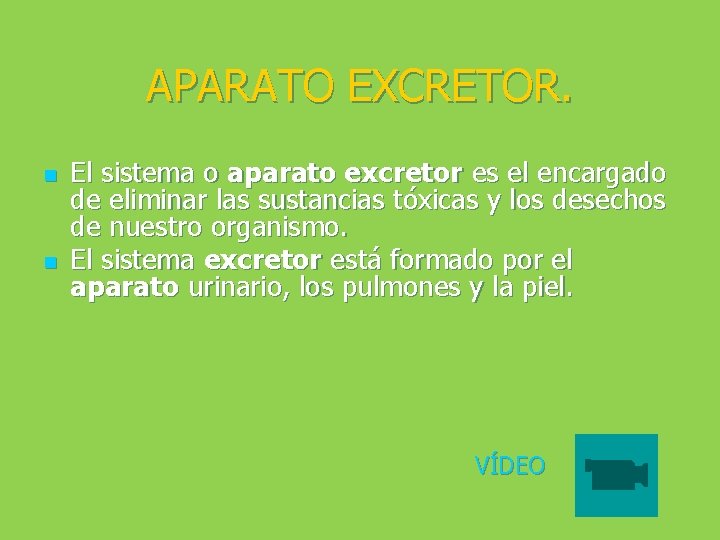 APARATO EXCRETOR. n n El sistema o aparato excretor es el encargado de eliminar