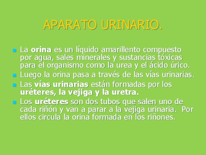 APARATO URINARIO. n n La orina es un líquido amarillento compuesto por agua, sales